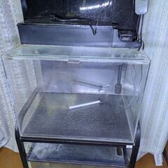 アクリル水槽の画像