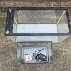 ガラス水槽　ニッソー 6M(60cm)とカラースリーM(36cm)の画像