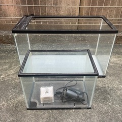 ガラス水槽　ニッソー 6M(60cm)とカラースリーM(36cm)の画像