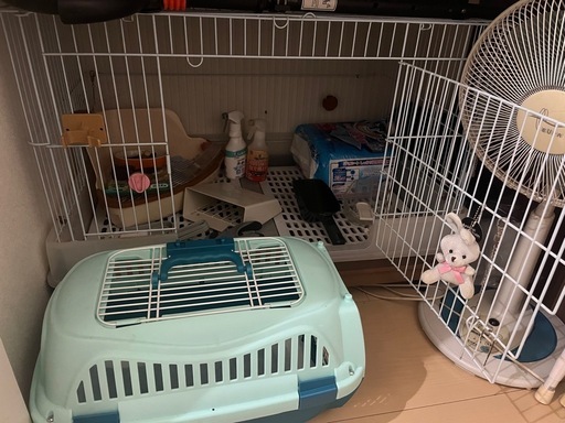 ウサギの飼育セット