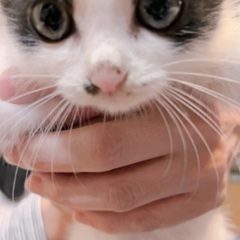 明日‼️１１月８日(土)ウィズマル動物医療センター立川院様…