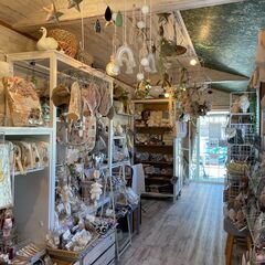 トレーラーハウス販売｜カンバーランドジャパン製「V-テラス」店舗モデル（型式V0924）／税込600万円／福岡県遠賀郡遠賀町の画像