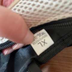 ペット 抱っこカバンベージュの画像