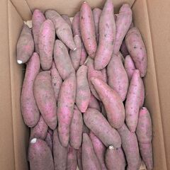 新規受け付け停止😅100グラム22円（笑）さつまいも(紅はるか)11月上旬掘りの画像