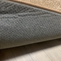ラグの画像