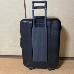 Sasoniteスーツケースの画像
