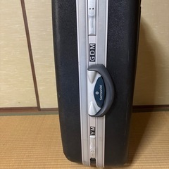 Sasoniteスーツケースの画像