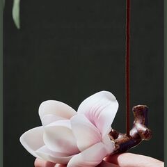 薄ピンク玉蘭香立（こうぎょくらんこうだて / Kōgyokuran Kōdate）の画像