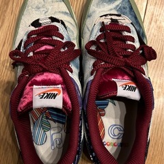 使用回数少なめ　箱無し　ナイキ×コンセプツ　NIKE　CONCEPTS　エアマックス１SP　AIR MAX 1 SP　メロウ　MELLOW　サイズ26.5cmの画像