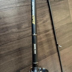 ルアー竿の画像