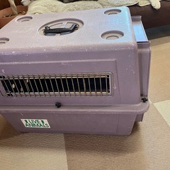 バリケンネルの画像