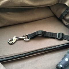 ドッグキャリーバッグの画像