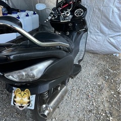 フォルッツアMF08後期【整備済】の画像