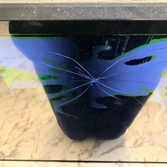 映らないシャープSHARP AQUOS50インチtTVの画像