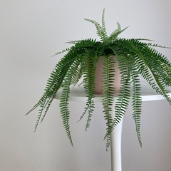 IKEA イケア GRADVIS グラードヴィス / 鉢カバー ピンク 12cmの画像