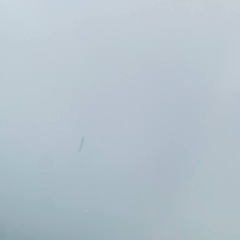 ♦TOSHIBA ノンフロン冷凍冷蔵庫【2023年製】GR-U15BSの画像