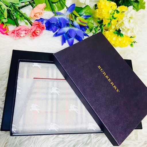 新品✨箱付き✨BURBERRY✨バーバリー✨パスポートケース✨ノバチェック✨限定