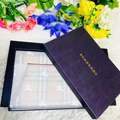 新品✨箱付き✨BURBERRY✨バーバリー✨パスポートケース✨ノバチェック✨限定の画像