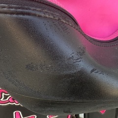 無料で🉐ゴルフバッグSET◇キャディバッグ◇アイアン ドライバー パター◇まとめて差し上げますの画像