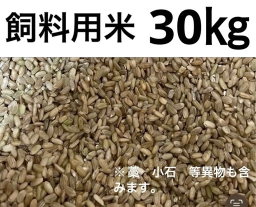 飼料用米　小米　屑米　砕け米　こめ
