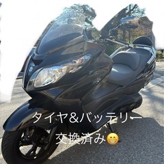 ライトカスタム スカイウェイブ250の画像