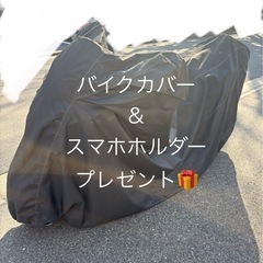 ライトカスタム スカイウェイブ250の画像