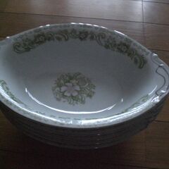 カレー皿5枚＆中皿７枚　の画像