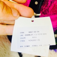 STEPHANE VERDINO✨2way✨ショルダーバッグ✨新品タグ付き✨の画像