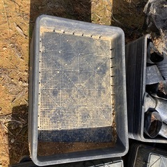 育苗箱、ぽっとポットの画像