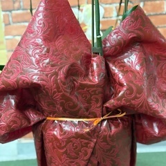 胡蝶蘭 2回咲を目指して！ お花 花　祝い花　の画像