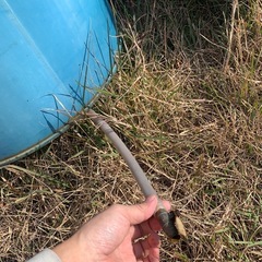 ドラム缶の画像