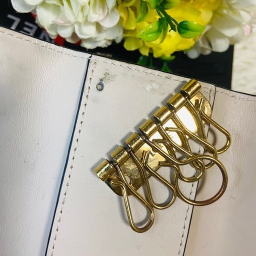 シルクカーフスキン✨LOEWE✨ロエベ ✨キーケース✨リピートアナグラム✨型押し