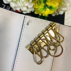 シルクカーフスキン✨LOEWE✨ロエベ ✨キーケース✨リピートアナグラム✨型押しの画像