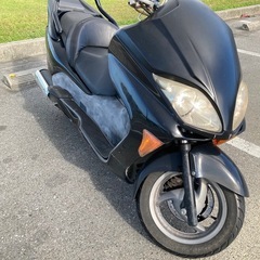 フォルツァの画像