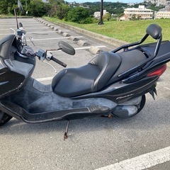 フォルツァの画像