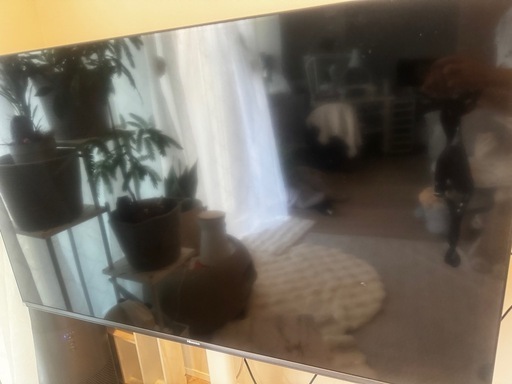 Hisense 液晶テレビ テレビ台付き