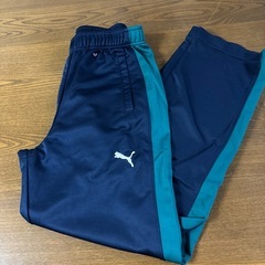 浦和学院高等学校 ジャージセット 緑の画像