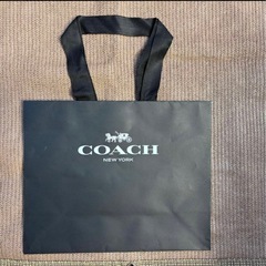 COACH、LOUIS VUITTON ブランドショッパー　大6枚と小2枚の画像