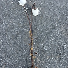 アンティーク調フロアランプの画像