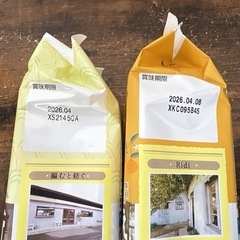 チョコパイ プチケーキの画像