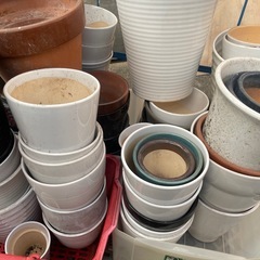 植木鉢　まとめ売りの画像