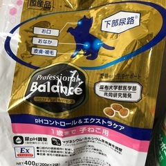 ★猫ちゃんの餌★の画像