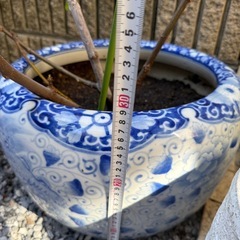 青白龍柄の陶器鉢の画像