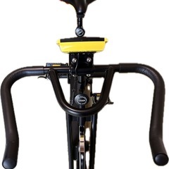 スピンバイク　アルインコ製の画像