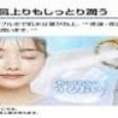 アラミック　シルキーファインバブルシャワープレミアム　グロスシルバーの画像