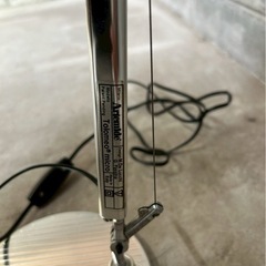 アルテミデ ジャンクの画像