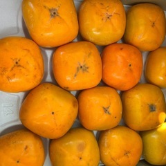 みかん1箱10キロの画像