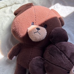 くまのがっこうぬいぐるみの画像