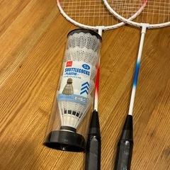 未使用　美品　バドミントン　おもちゃ　シャトル　羽　5個　付きの画像