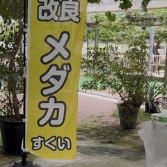 未経験歓迎 副業OK！月1回〜◎ 未経験歓迎 イベントスタッフ、ネット販売スタッフ、養魚場スタッフ募集中！新潟市 五泉市 アルバイト パート 業務委託 改良メダカ めだかの画像